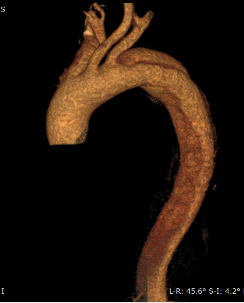 C528